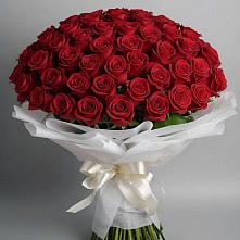 Букет 101 Красная роза Блэк Мэджик #REPLACE_PRED# Болохово