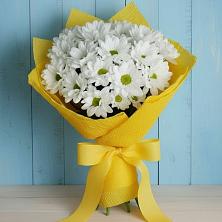 Букет цветов из:  Хризантемы в Болохово