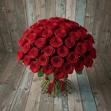 Букет 55 Красных роз Фридом #REPLACE_PRED# Болохово