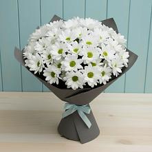 Букет цветов из:  Хризантемы в Болохово
