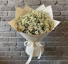 Букет цветов из:  Ромашки #REPLACE_PRED# Болохово