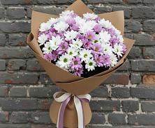 Букет цветов из:  Хризантемы в Болохово