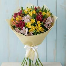 Букет цветов из:  Альстромерии #REPLACE_PRED# Болохово