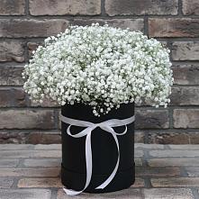 Цветочная композиция из Гипсофила в шляпной коробке в Болохово