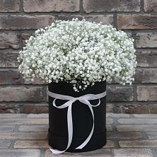 Цветочная композиция из Гипсофила в шляпной коробке в Болохово