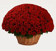 Премиум букет из: Розы #REPLACE_PRED# Болохово