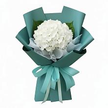 Букет цветов из:  Гортензия #REPLACE_PRED# Болохово